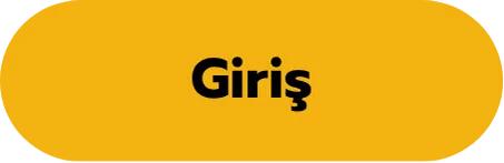 Giriş